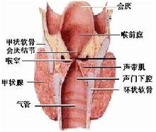 怎样辨别喉癌症状?