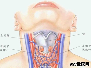 甲状腺癌的诊断与分期解析