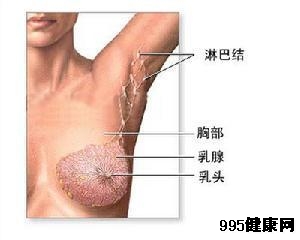 乳腺癌的细胞学诊断