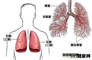 肺鳞癌晚期患者肺部会积水吗?