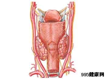 甲状腺癌淋巴结转移特点及高危因素