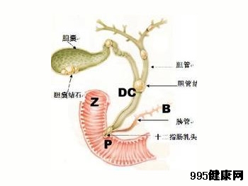 胆管癌在早期表现在什么地方