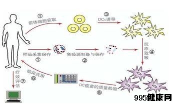 生物免疫治疗脑膜瘤