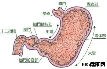 胃泌素瘤的病因是什么