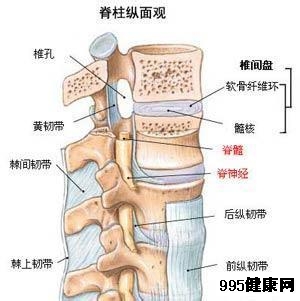 腰椎间盘突出的症状特点