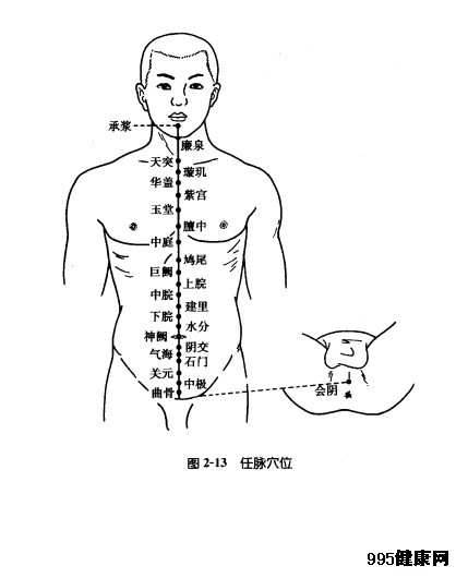 任脉穴位