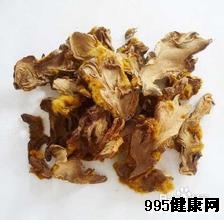 益肾通督治疗体系