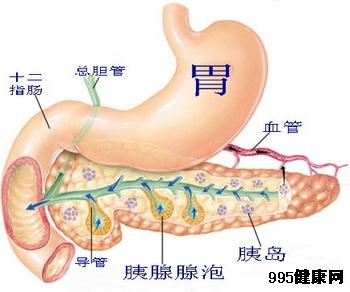 胰腺内分泌肿瘤的治疗