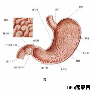 胃内分泌肿瘤的临床表现