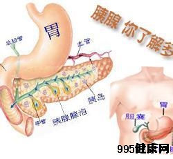 胰腺神经内分泌肿瘤的治疗进展