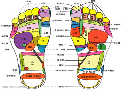 高血压预防保健有新招，在家里照样做足部按摩