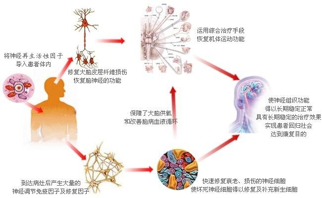 专家提醒:做好脊髓损伤的保健至关重要!
