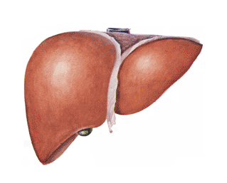 原发性肝癌的三个体征